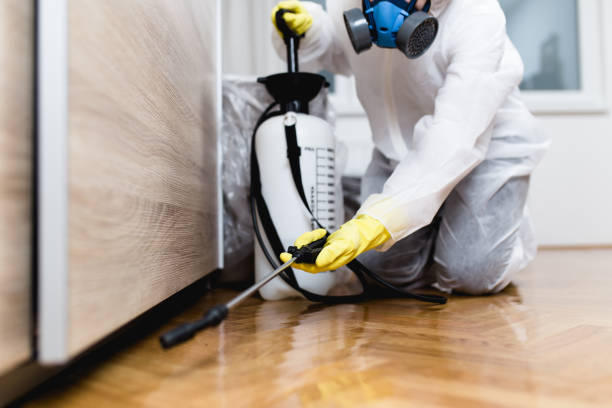 Best Pest Control Near Me  in Escobares, TX