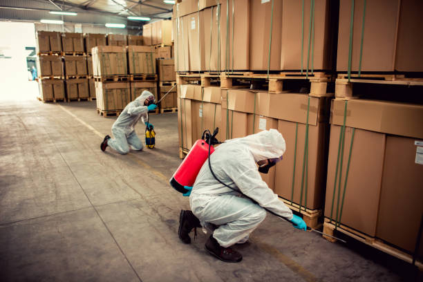 Best Wasp Removal Services  in Escobares, TX