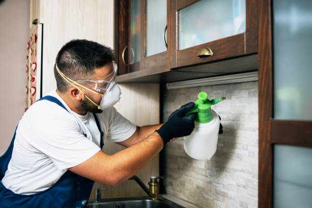 Trusted Escobares, TX Pest Control Experts
