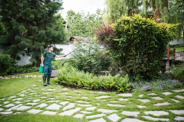 Best Best Pest Control Companies  in Escobares, TX