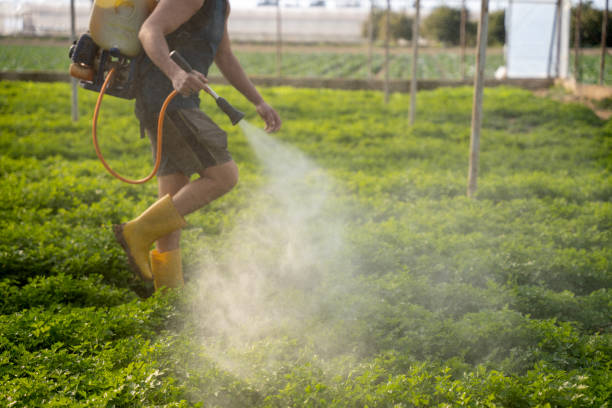 Best Best Pest Control Companies  in Escobares, TX