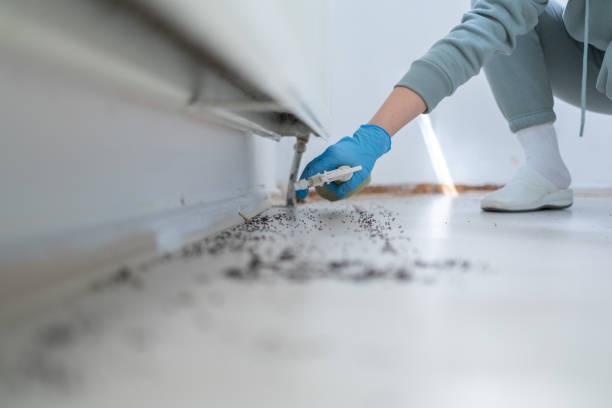 Best Bed Bug Extermination  in Escobares, TX